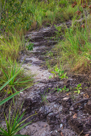 Stone way. Encontro das Aguas in Chapada dos Veadeiros, Goias, Brazilの写真素材