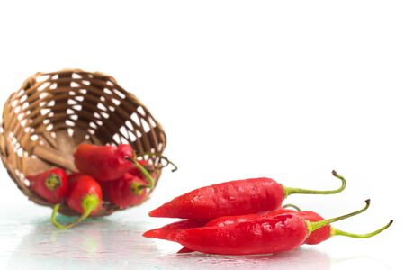 Dedo de Moca Chilly Pepper over a white backgroundの写真素材