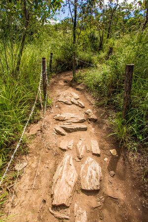 Rustic Land Way in chapada dos veadeiros, goias, brazilの写真素材