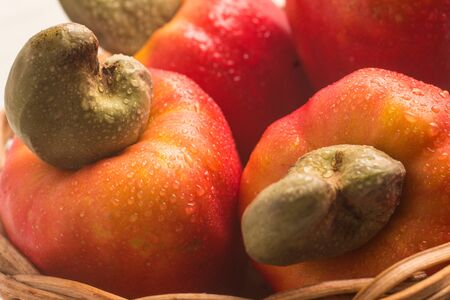 Brazilian Cashews or Caju Fruit Background photo.