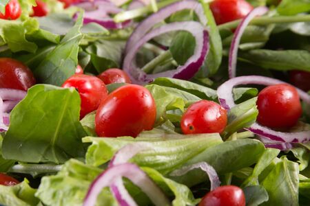 Mix Leaf Salad with watercrass, arugula and onionsの写真素材