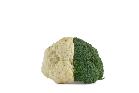 Broccoli and Cauliflower. Brain shape isolated on white background
