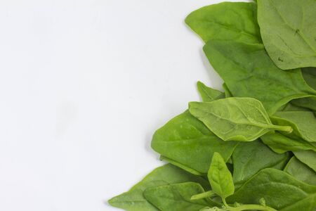 Brazilian Spinach Leaves Frame isolated on white backgroundの写真素材