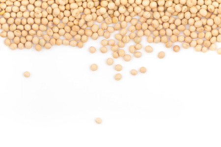 Soy Beans Frame isolated on white backgroundの写真素材