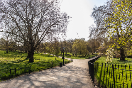 Hyde Park in London, England. Pleasant scene with trees and pathsの写真素材