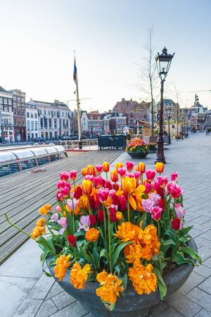 AMSTERDAM, NETHERLANDS - APRIL 12, 2019: Beautiful tulips in the center of Amsterdam, Netherlandsのeditorial素材
