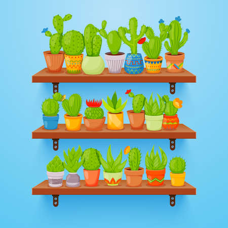 Cactuses and succulents in flower pots on shelves. Home cactus plants with prickles and flowers. Exotic tropical vector collection of various succulentsのイラスト素材