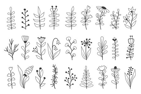 Floral doodle elements featuring various flowers, branches, and leaves.のイラスト素材