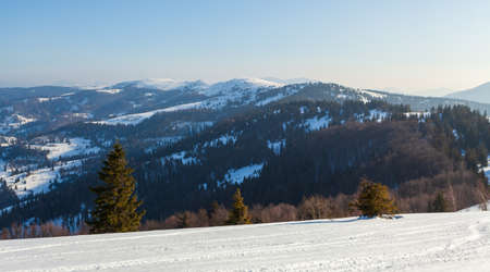 Wonderful wintery Scenery in sunny day. Winter landscape with snow capped mountain under sunlight. Popular hiking and travel place. Winter wonderland. stunning nature background. Carpathian mountains.の写真素材