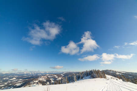 Wonderful wintery Scenery in sunny day. Winter landscape with snow capped mountain under sunlight. Popular hiking and travel place. Winter wonderland. stunning nature background. Carpathian mountains.の写真素材