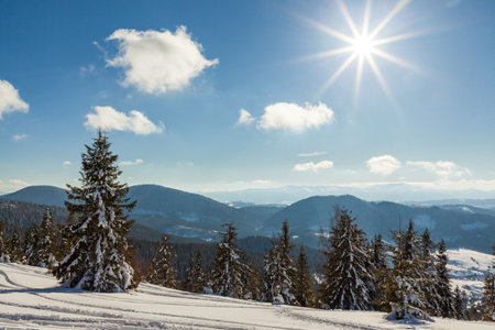 wonderfully majestic winter landscape glowing by sunlight. wintry scene. Carpathian, Ukraine, Europe. Beauty world. Happy New Yearの写真素材