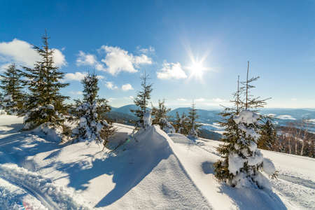 wonderfully majestic winter landscape glowing by sunlight. wintry scene. Carpathian, Ukraine, Europe. Beauty world. Happy New Yearの写真素材