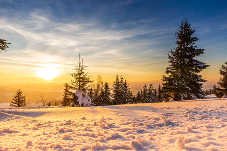 wonderfully majestic winter landscape glowing by sunlight. wintry scene. Carpathian, Ukraine, Europe. Beauty world. Happy New Yearの写真素材