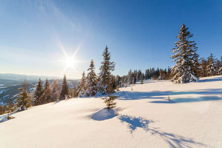 wonderfully majestic winter landscape glowing by sunlight. wintry scene. Carpathian, Ukraine, Europe. Beauty world. Happy New Yearの写真素材