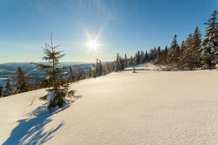 wonderfully majestic winter landscape glowing by sunlight. wintry scene. Carpathian, Ukraine, Europe. Beauty world. Happy New Yearの写真素材