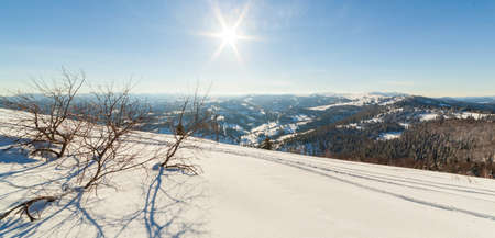 wonderfully majestic winter landscape glowing by sunlight. wintry scene. Carpathian, Ukraine, Europe. Beauty world. Happy New Yearの写真素材