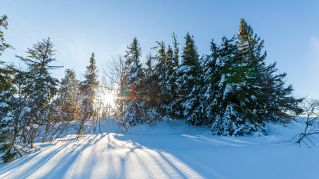 wonderfully majestic winter landscape glowing by sunlight. wintry scene. Carpathian, Ukraine, Europe. Beauty world. Happy New Yearの写真素材