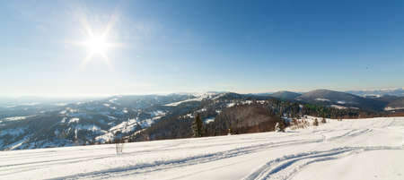 wonderfully majestic winter landscape glowing by sunlight. wintry scene. Carpathian, Ukraine, Europe. Beauty world. Happy New Yearの写真素材