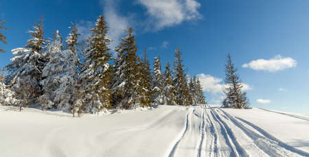 Wonderful wintery Scenery in sunny day. Winter landscape with snow capped mountain under sunlight. Popular hiking and travel place. Winter wonderland. stunning nature background. Carpathian mountains.の写真素材