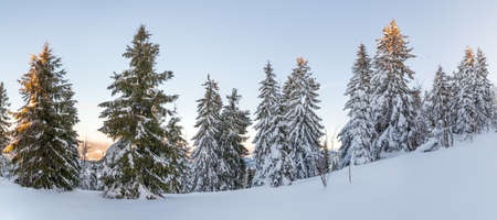 Wonderful wintery Scenery in sunny day. Winter landscape with snow capped mountain under sunlight. Popular hiking and travel place. Winter wonderland. stunning nature background. Carpathian mountains.の写真素材