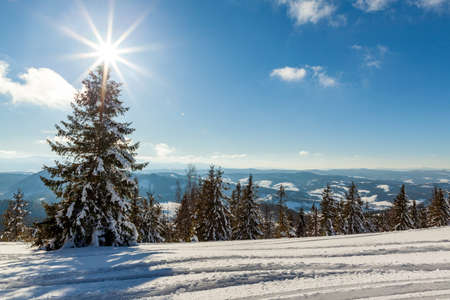wonderfully majestic winter landscape glowing by sunlight. wintry scene. Carpathian, Ukraine, Europe. Beauty world. Happy New Yearの写真素材