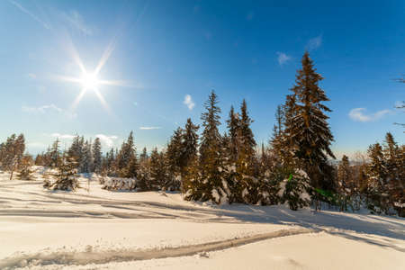 wonderfully majestic winter landscape glowing by sunlight. wintry scene. Carpathian, Ukraine, Europe. Beauty world. Happy New Yearの写真素材