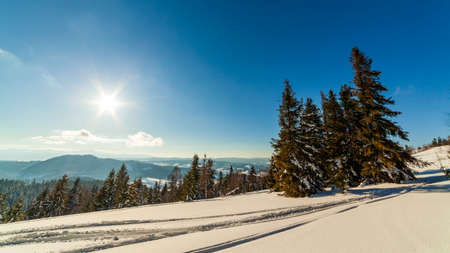 wonderfully majestic winter landscape glowing by sunlight. wintry scene. Carpathian, Ukraine, Europe. Beauty world. Happy New Yearの写真素材