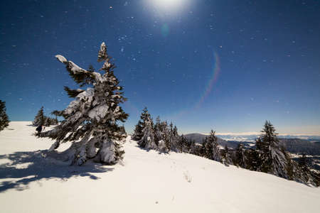 Magical winter landscape with snow covered tree. Vibrant night sky with stars and nebula and galaxy. Deep sky astrophoto.の写真素材