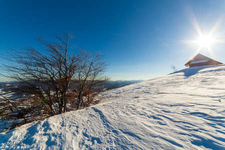 wonderfully majestic winter landscape glowing by sunlight. wintry scene. Carpathian, Ukraine, Europe. Beauty world. Happy New Yearの写真素材