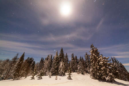 Magical winter landscape with snow covered tree. Vibrant night sky with stars and nebula and galaxy. Deep sky astrophoto.の写真素材
