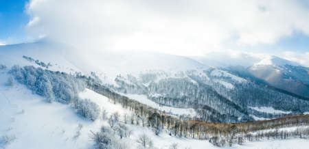 Winter landscape in fog with snow and branches covered with hoarfrost and frozen snow. High quality photoの写真素材