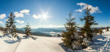 wonderfully majestic winter landscape glowing by sunlight. wintry scene. Carpathian, Ukraine, Europe. Beauty world. Happy New Yearの写真素材