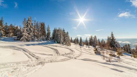 wonderfully majestic winter landscape glowing by sunlight. wintry scene. Carpathian, Ukraine, Europe. Beauty world. Happy New Yearの写真素材