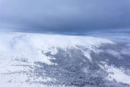 Winter Forest clouds Landscape aerial view trees background Travel serene sceneryの写真素材