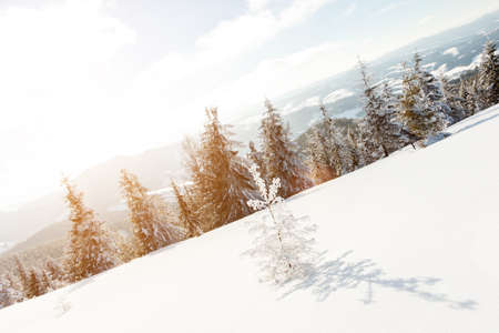 Fantastic winter landscape. Blue sky. Carpathian, Ukraine, Europe. Beauty worldの写真素材