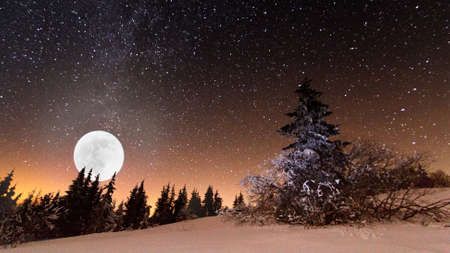 Fantastic winter landscape. Carpathian Ukraine Europe. Beauty worldの写真素材
