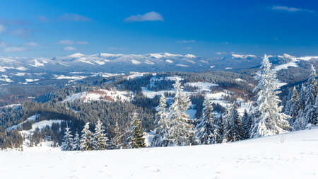 Fantastic winter landscape. Blue sky. Carpathian, Ukraine, Europe. Beauty worldの写真素材