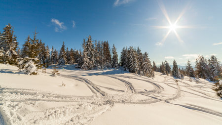 wonderfully majestic winter landscape glowing by sunlight. wintry scene. Carpathian, Ukraine, Europe. Beauty world. Happy New Yearの写真素材