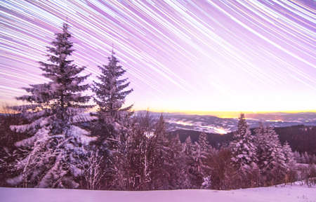 Christmas background with snowy fir trees and copy spaceの写真素材