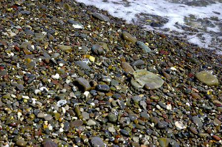 sea pebble beach with multicoloured stones, transparent waves with foam, on a warm summer dayの写真素材