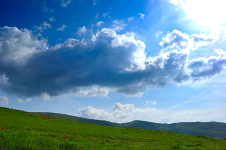 An inspiring scenic summer field landscape.の写真素材