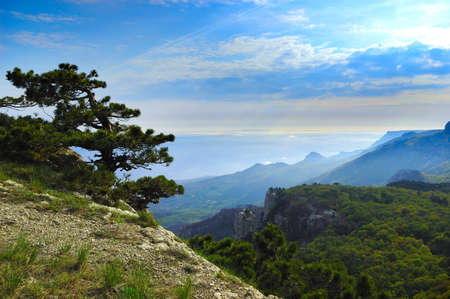 Beautiful view of the rocks and fields. Nature of central Crimeaの写真素材
