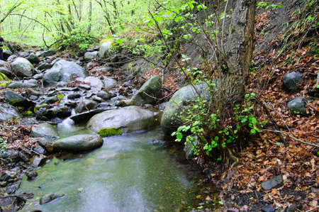 Stones. Mountain stream. The rocky shore. Water flows over rocks.の写真素材