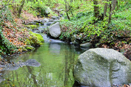 Stones. Mountain stream. The rocky shore. Water flows over rocks.の写真素材