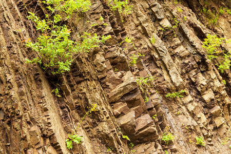 stone texture - the nature of the structure of a solid substance and the location of its parts.の写真素材