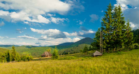 Beautiful nature and wonderful landscape with lush green forests and vegetation in the Synevyr valley of the Carpathian mountains in Ukraine. Fresh green meadows and blooming wildflowers.の写真素材