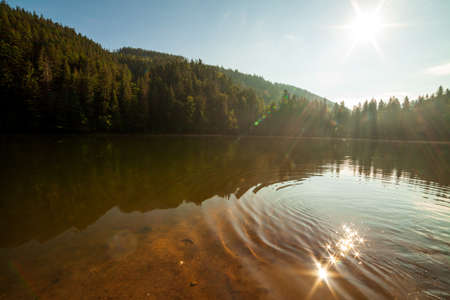 Beautiful nature and a wonderful landscape with lush green forests and vegetation around the pearl of the Carpathians - Lake Synevyr. Carpathians in Ukraine. Mystical fog over the great firs.の写真素材