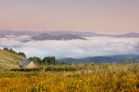 Autumn landscape with fog in the mountains. Fir forest on the hills.の写真素材
