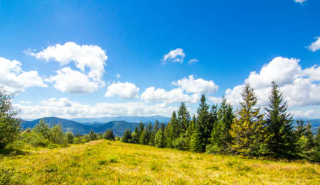 Autumn landscape with fog in the mountains. Fir forest on the hills.の写真素材