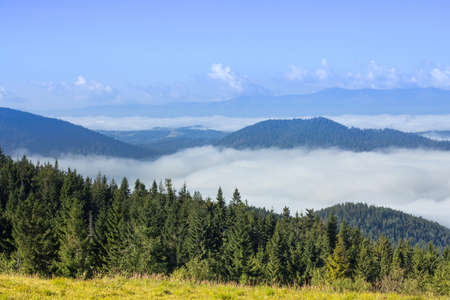 Autumn landscape with fog in the mountains. Fir forest on the hills.の写真素材